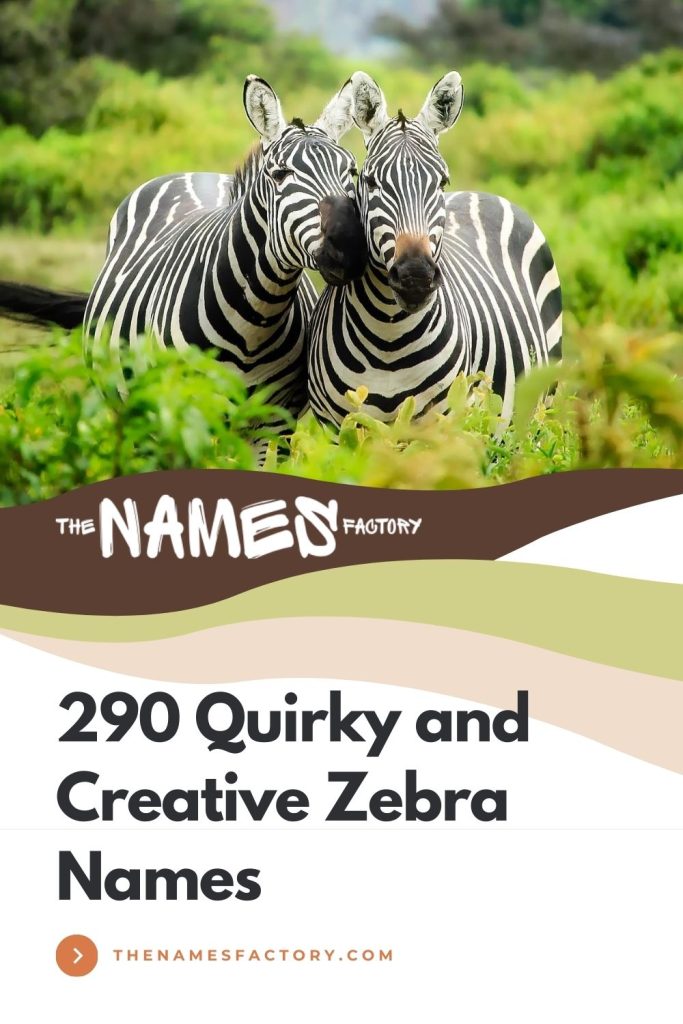 Zera Names 290+ Quirky Zebra Names Ideas for Your Striped Friends
