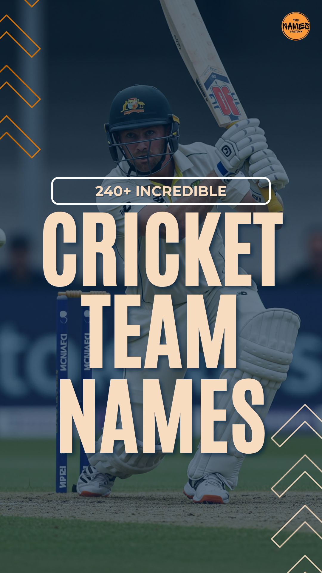 cricket team names ideas 1 - The Names Factory cricket team names ideas 1