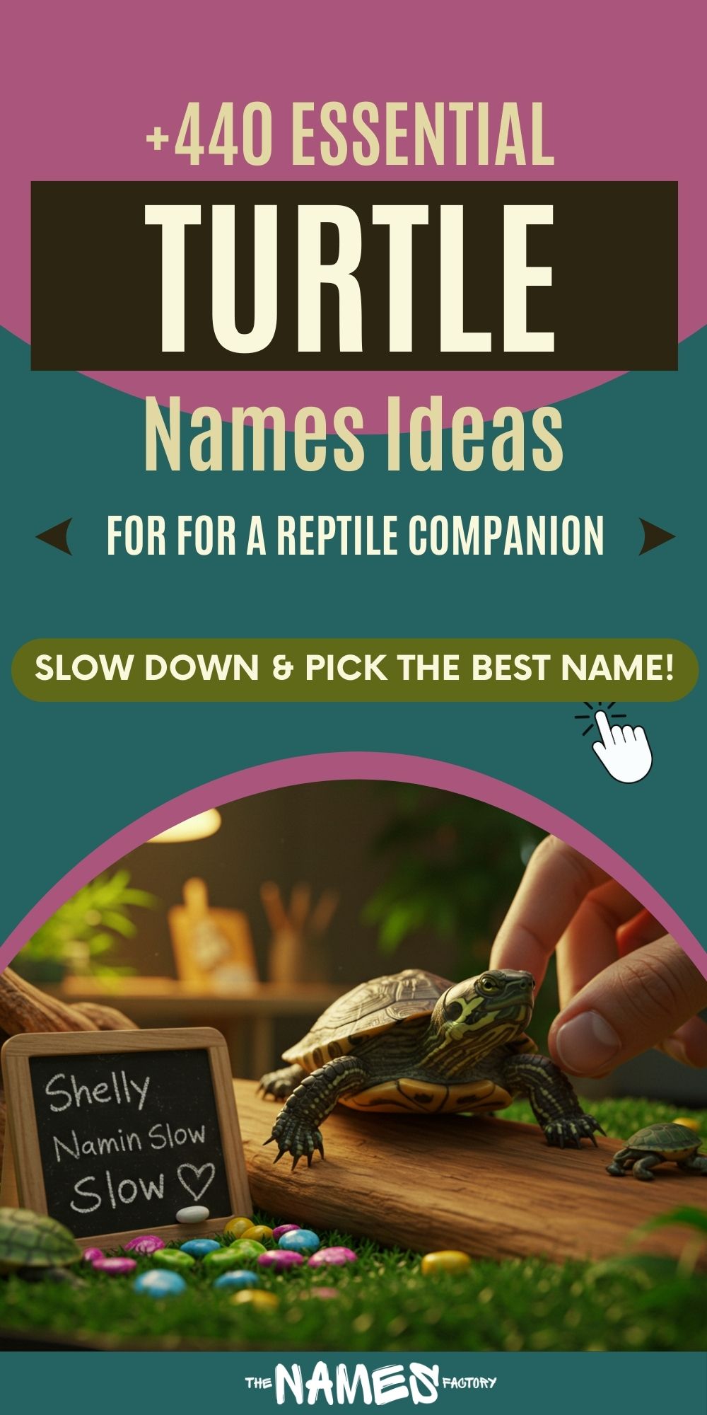 turtle names 2 - The Names Factory turtle names 2