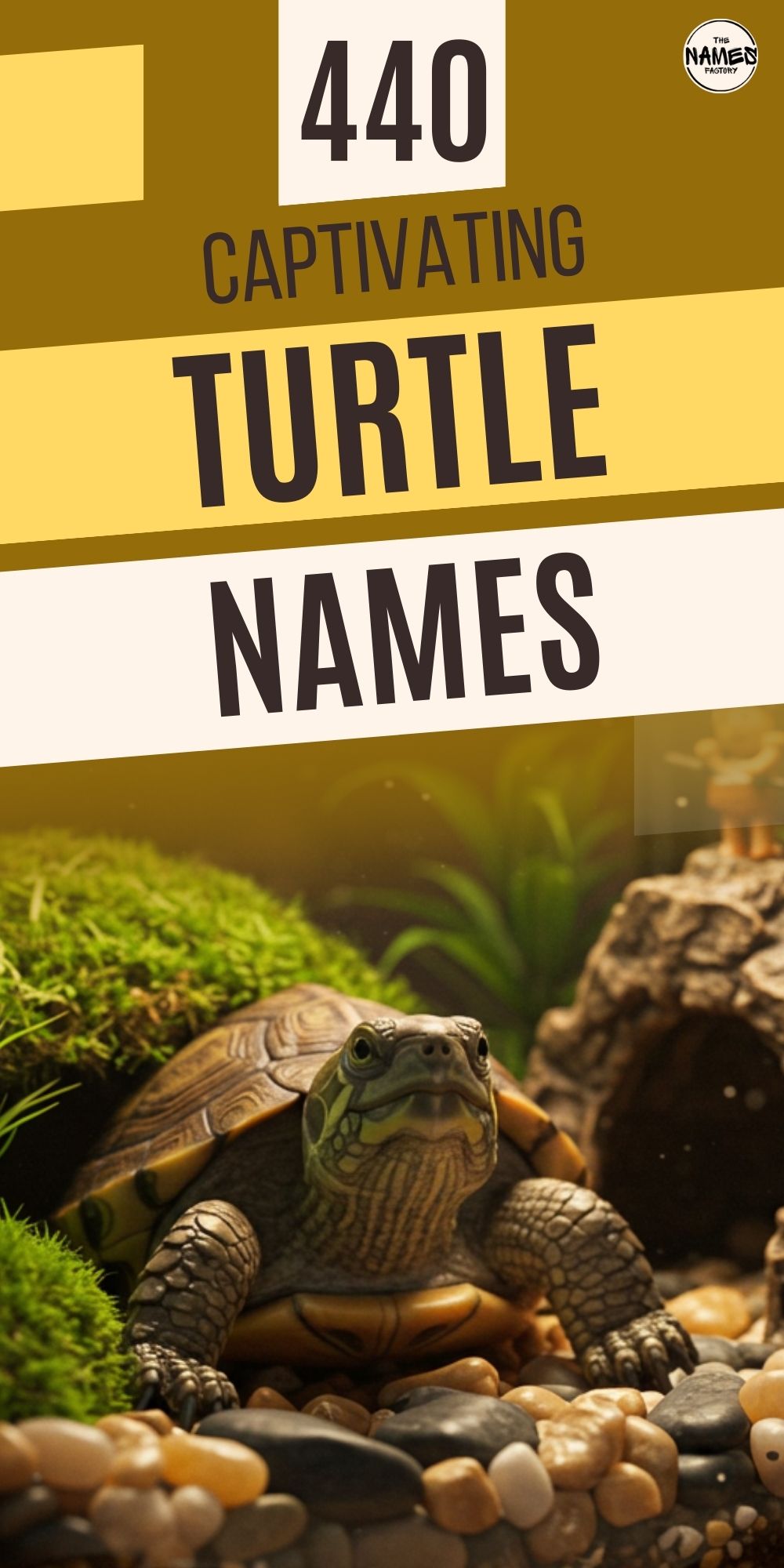 turtle names 4 - The Names Factory turtle names 4