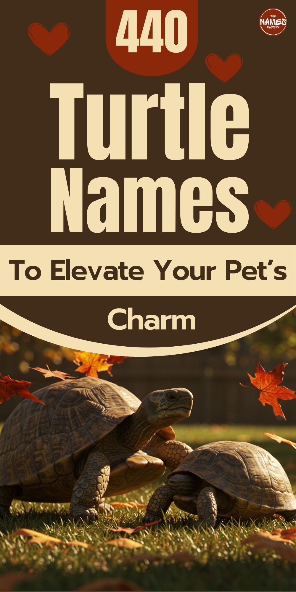 turtle names 5 - The Names Factory turtle names 5