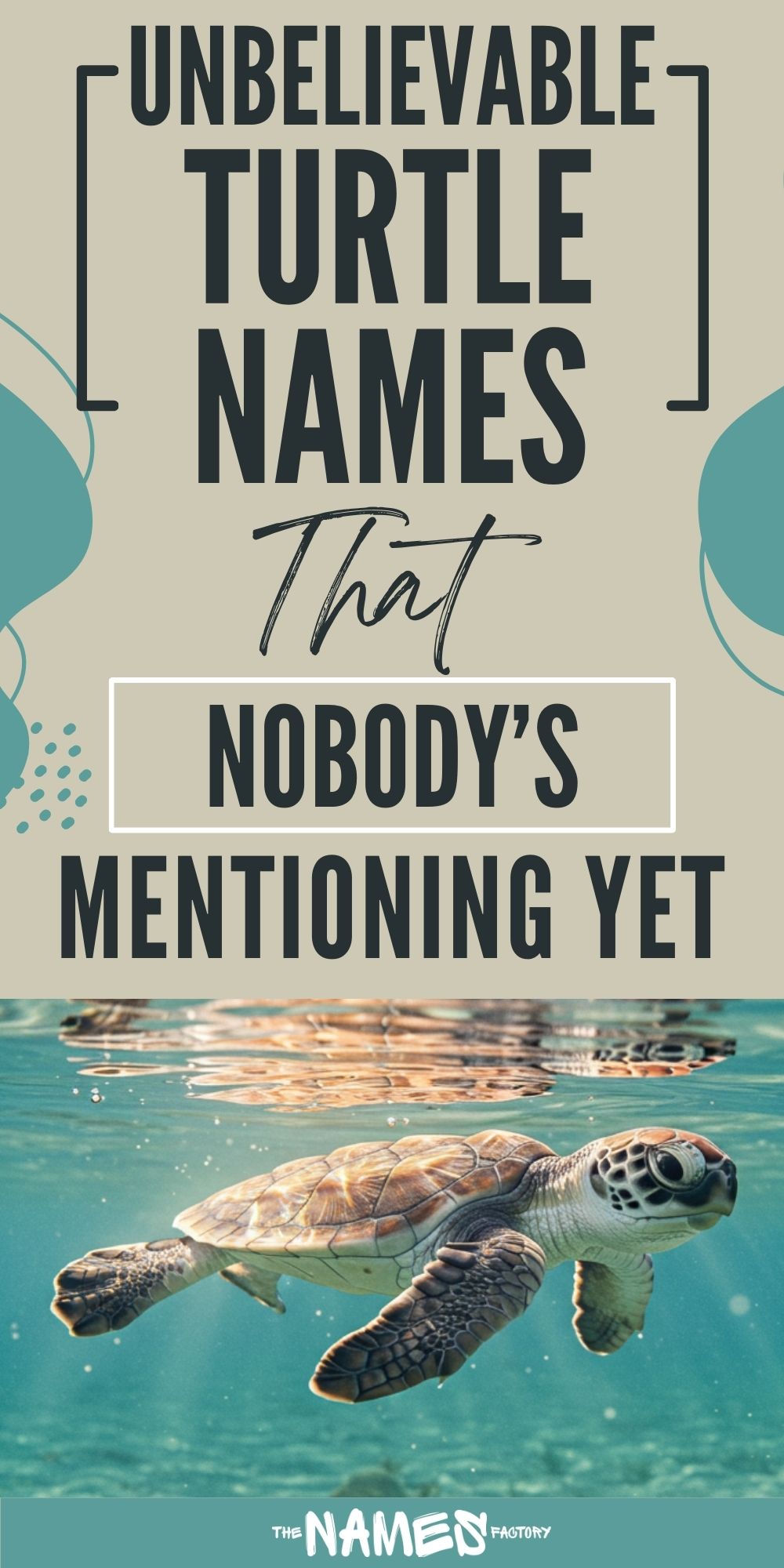 turtle names 9 - The Names Factory turtle names 9