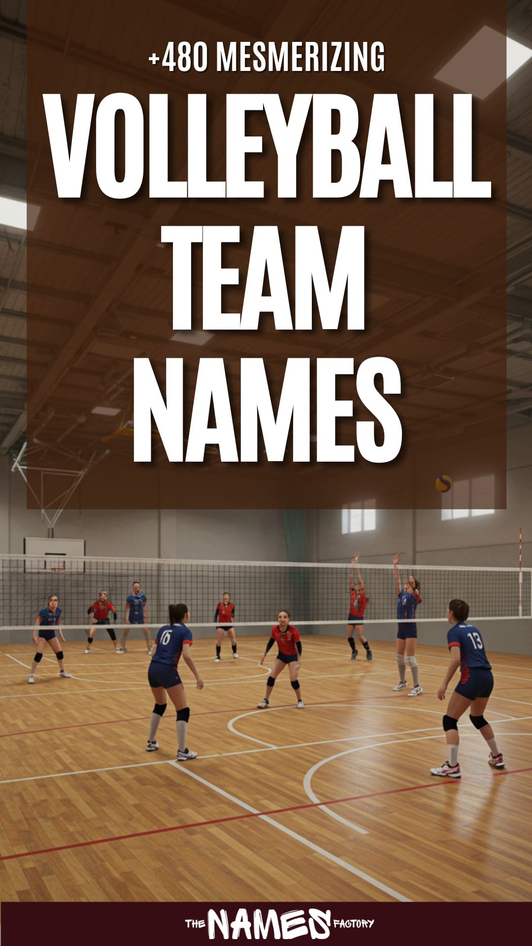 volleyball team names 4 - The Names Factory volleyball team names 4
