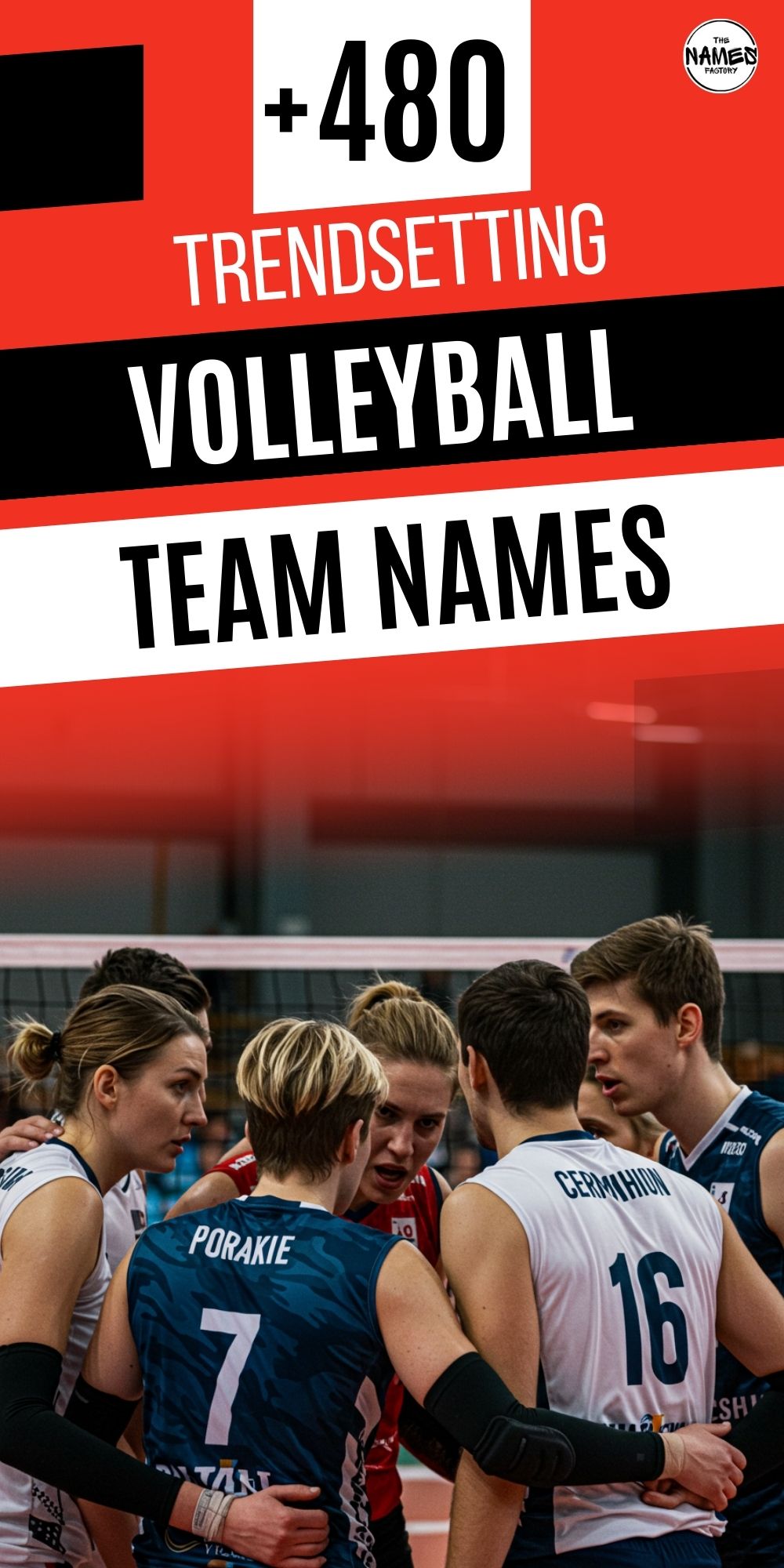 volleyball team names 7 - The Names Factory volleyball team names 7