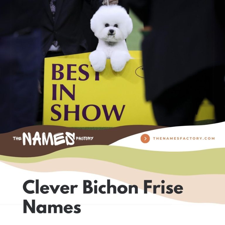 225 Perfect Bichon Frise Names Cute Funny More 225-perfect-bichon-frise-names-cute-funny-more