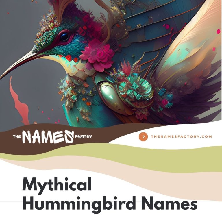 290+ Hummingbird Names Ideas [Creative, Funny & More]