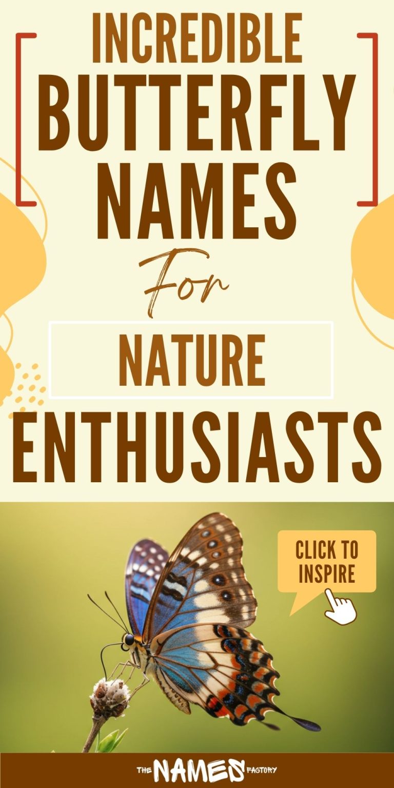 150+ Unique Butterfly Names to Discover