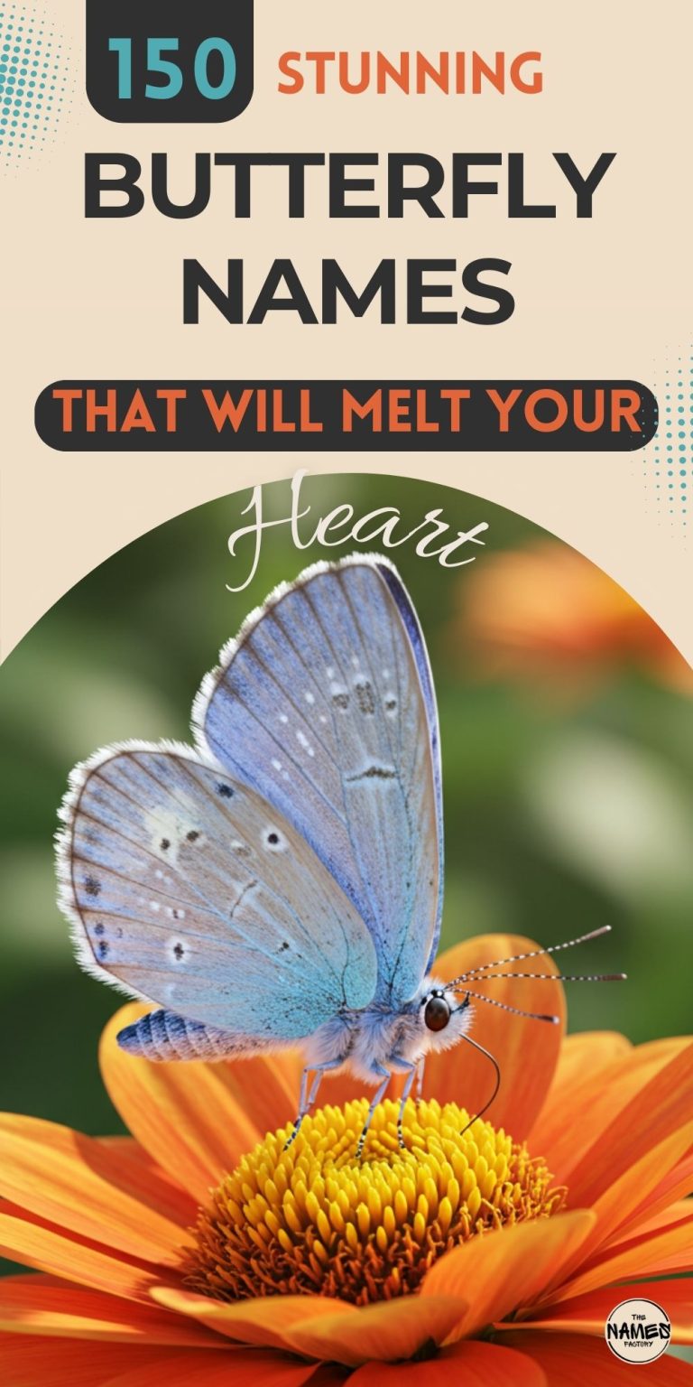 150+ Unique Butterfly Names to Discover