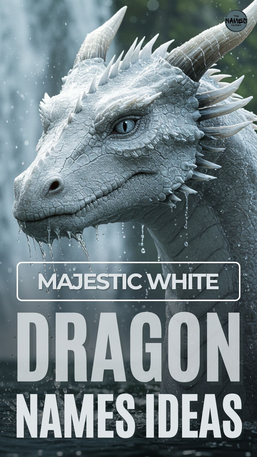 white dragon names 7 - The Names Factory white dragon names 7