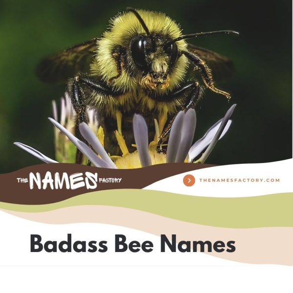 150+ Creative Bee Names for Your Little Friends