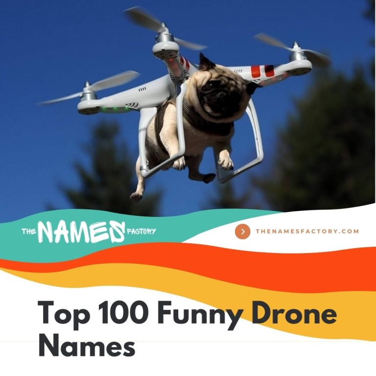 350+ Funny Drone Names for Flying Fun