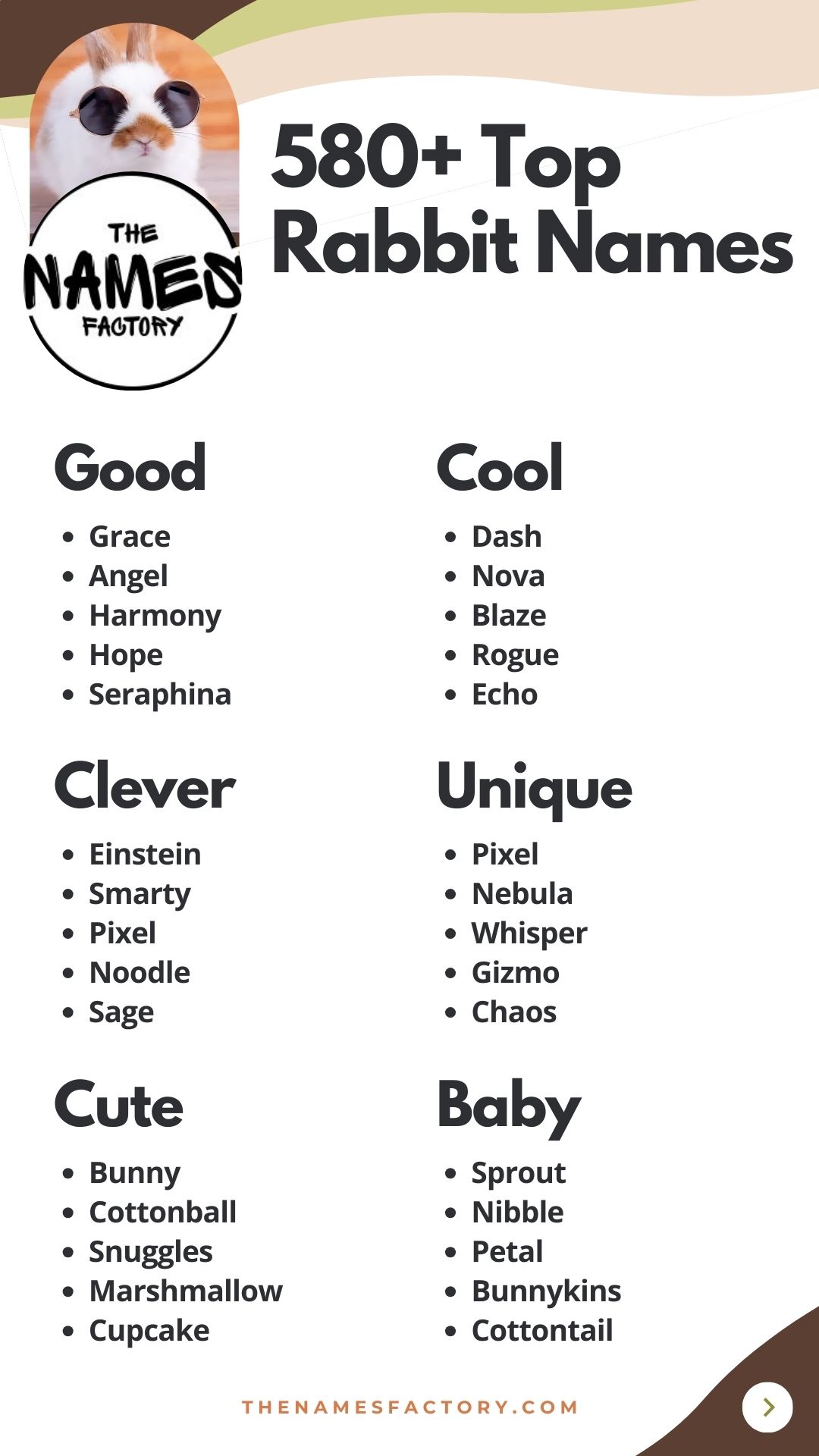 Adorable Names For Bunnies Adorable Names For Bunnies